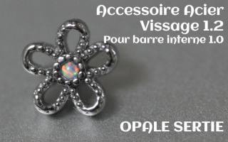 Accessoire Opale griffe Acier vissage pour barre interne 1.2 (1.0 interne) - fleur