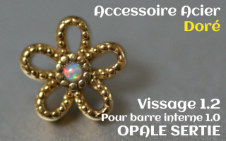 Accessoire Opale griffe Acier doree vissage pour barre interne 1.2 (1.0 interne) - fleur