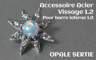 Accessoire Opale griffe Acier vissage pour barre interne 1.2 (1.0 interne) - soleil