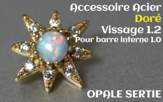 Accessoire Opale griffe Acier Dore vissage pour barre interne 1.2 (1.0 interne) - soleil