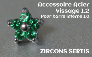 Accessoire zircon griffe Acier vissage pour barre interne 1.2 (1.0 interne) - etoile