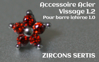 Accessoire zircon griffe Acier vissage pour barre interne 1.2 (1.0 interne) - etoile