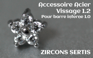 Accessoire zircon griffe Acier vissage pour barre interne 1.2 (1.0 interne) - etoile