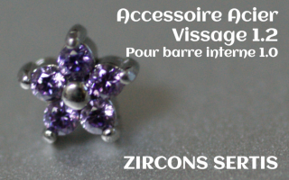 Accessoire zircon griffe Acier vissage pour barre interne 1.2 (1.0 interne) - etoile