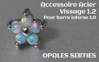 Accessoire opale griffee Acier vissage pour barre interne 1.2 (1.0 interne) - etoile