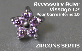 Accessoire zircon griffe Acier vissage pour barre interne 1.2 (1.0 interne) - etoile
