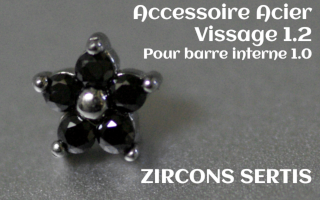 Accessoire zircon griffe Acier vissage pour barre interne 1.2 (1.0 interne) - etoile