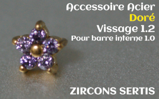 Accessoire zircon griffe Acier Dore vissage pour barre interne 1.2 (1.0 interne) - etoile