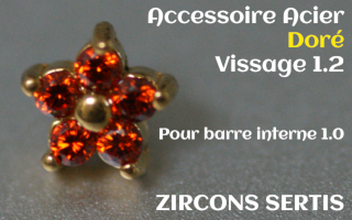 Accessoire zircon griffe Acier Dore vissage pour barre interne 1.2 (1.0 interne) - etoile