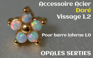 Accessoire opale griffe Acier Dore vissage pour barre interne 1.2 (1.0 interne) - etoile