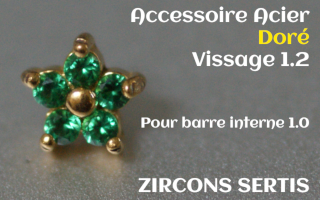 Accessoire zircon griffe Acier Dore vissage pour barre interne 1.2 (1.0 interne) - etoile