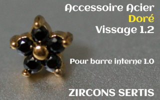 Accessoire zircon griffe Acier Dore vissage pour barre interne 1.2 (1.0 interne) - etoile