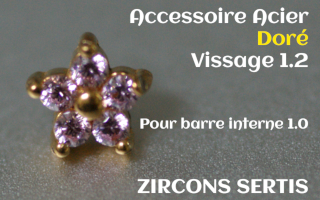 Accessoire zircon griffe Acier Dore vissage pour barre interne 1.2 (1.0 interne) - etoile