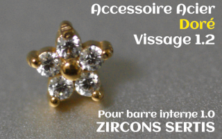Accessoire zircon griffe Acier Dore vissage pour barre interne 1.2 (1.0 interne) - etoile