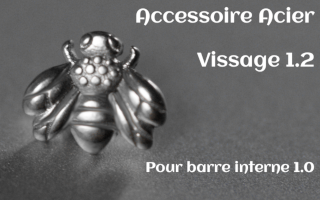 Accessoire Acier vissage interne 1.2 pour barre 1.0 - abeille
