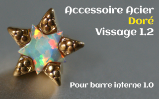 Accessoire Acier Dore vissage interne 1.2 pour barre 1.0 - opale