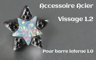 Accessoire Acier vissage interne 1.2 pour barre 1.0 - opale