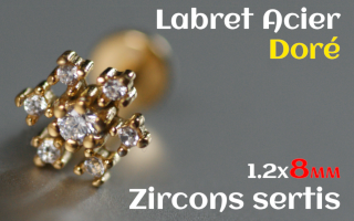 labret 1.2x8 Acier Dore - zircon sertis