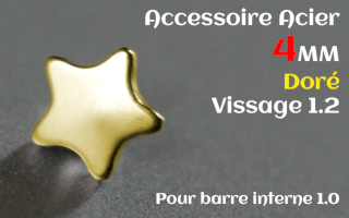 Accessoire 4 mm Acier Dore vissage interne 1.2 pour barre 1.0 - etoile