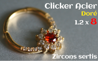 Clicker Acier dore 1.2 x 8 zircons sertis