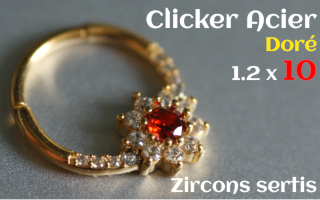 Clicker Acier dore 1.2 x 10 zircons sertis