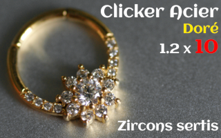 Clicker Acier dore 1.2 x 10 zircons sertis