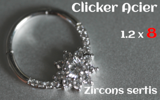 Clicker Acier 1.2 x 8 zircons sertis