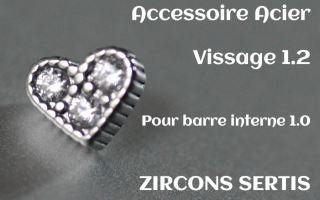 Accessoire Coeur Acier 1.2 - vissage 1.0