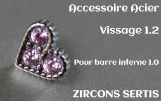 Accessoire Coeur Acier 1.2 - vissage 1.0