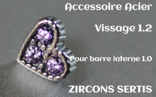 Accessoire Coeur Acier 1.2 - vissage 1.0