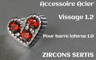 Accessoire Coeur Acier 1.2 - vissage 1.0