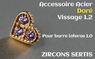 Accessoire Coeur Acier Dore 1.2 - vissage 1.0