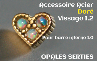 Accessoire Coeur Acier Dore 1.2 - vissage 1.0