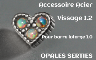 Accessoire Coeur Acier 1.2 - vissage 1.0
