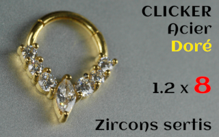 Clicker 1.2 x 8 - zircon sertis - Acier dore