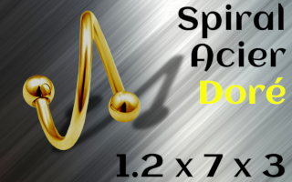 Spiral acier Dore 1.2 x 7 x 3