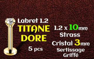 labret 1.2 x 10 -Titane Dore- zircon serti 3 mm - vissage interne