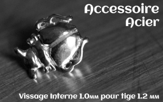 Accessoire Acier - vissage interne 1.0mm pour tige 1.2 mm