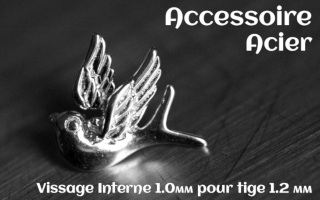 Accessoire Acier - vissage interne 1.0mm pour tige 1.2 mm