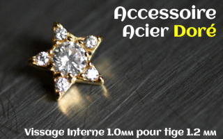 Accessoire Acier dore - vissage interne 1.0mm pour tige 1.2 mm