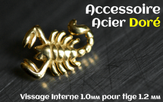 Accessoire Acier dore - vissage interne 1.0mm pour tige 1.2 mm