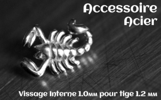 Accessoire Acier - vissage interne 1.0mm pour tige 1.2 mm