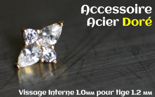 Accessoire Acier dore - vissage interne 1.0mm pour tige 1.2 mm