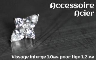 Accessoire Acier - vissage interne 1.0mm pour tige 1.2 mm