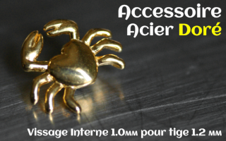 Accessoire Acier dore - vissage interne 1.0mm pour tige 1.2 mm