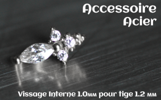 Accessoire Acier - vissage interne 1.0mm pour tige 1.2 mm