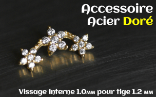 Accessoire Acier dore - vissage interne 1.0mm pour tige 1.2 mm