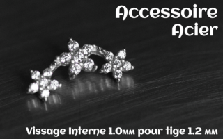Accessoire Acier - vissage interne 1.0mm pour tige 1.2 mm