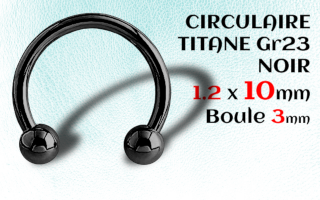 Circulaire 1.2x10x3 titane noir