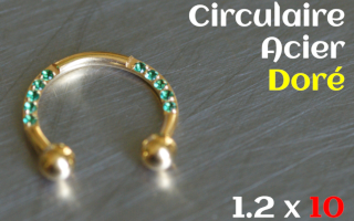 Circulaire Acier dore 1.2 x 10
